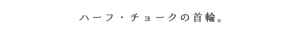 ハーフチョークの首輪。